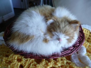 Fake cat, sleeping.